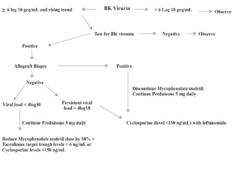 BK Virus Treatment Protocol at State University of New York at Buffalo ...