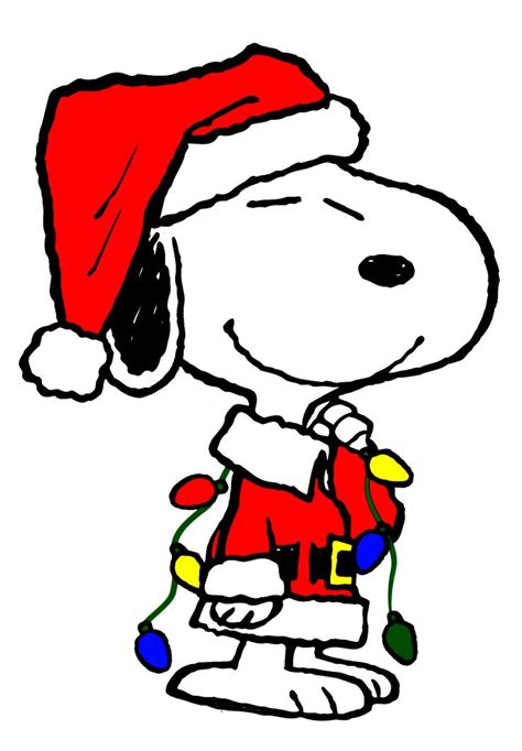 Pin by ~ 🌜🍀Shannon 🍀🌛~ on SNOOPY & THE PEANUTS GANG | Christmas characters, Snoopy christmas ...