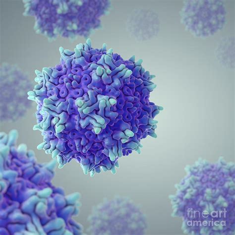 Adeno-associated Virus Photograph by Science Picture Co