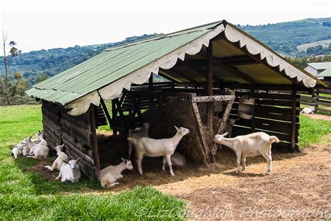 Geriatric Gapper: The Midlands Meander, KZN, South Africa