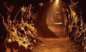 Aillwee Cave | Cave Attractions Co. Clare, Ireland | Virtual Visit Tours