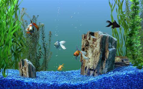 Aquarium Wallpaper for Windows 10 - WallpaperSafari