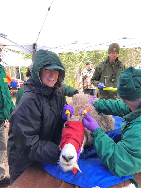 Women in wildlife: The veterinarian | The Spokesman-Review