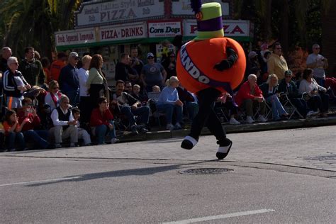 Looking For A Bird and a Birdie: I LOVE A PARADE ~ THE CITRUS BOWL PARADE