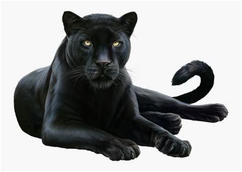 #blackpanther #jaguar #layingdown - Black Panther Animal Png , Free Transparent Clipart - ClipartKey