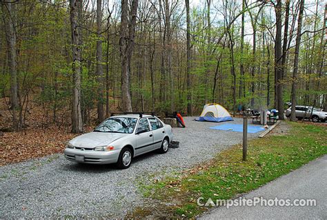 Greenbrier State Park - Campsite Photos, Reservations & Camping Info