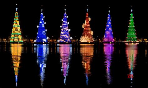 Rio de Janeiro lights up world's tallest floating Christmas tree ...