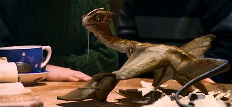 Norbert the Norwegian Ridgeback Dragon | Harry potter creatures, Harry potter, Harry potter wiki