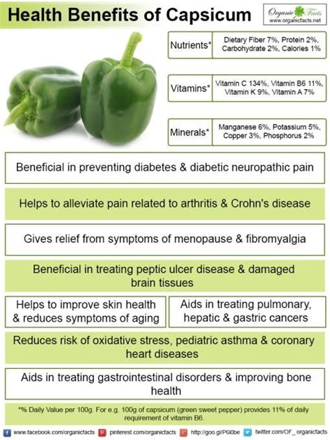 Capsicum Nutrition Value - Angel Vegetable