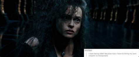 Bellatrix Text Post Meme - Harry Potter Photo (37556933) - Fanpop