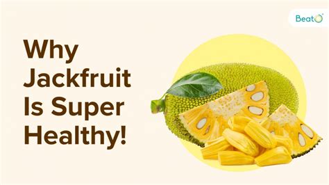 Amazing Jackfruit Benefits: A Nutrient-Rich Superfood - Diabetes Blog