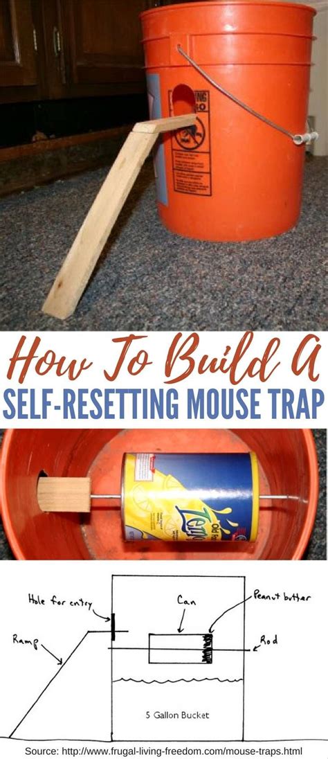 Diy Electric Mouse Trap / DIY Electric Rat Trap 🐀 3 Mice in trapped 1 Hour 🐭 Mouse/ Rat trap 👍 ...