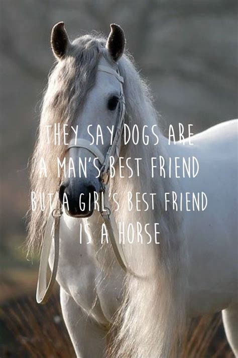 Horse quote Horses, Horse quotes, Mans best friend