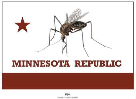 The most incredible citizen submissions for Minnesota's new state flag ...