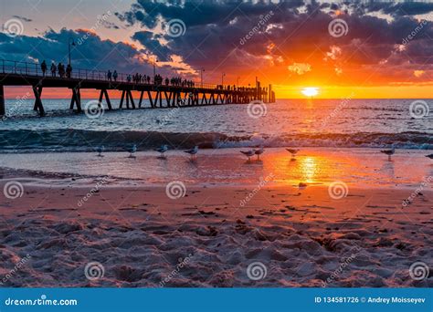 Glenelg Beach Jetty At Sunset Stock Photography | CartoonDealer.com #91577240