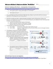 micro vs macro evolution - Microevolution & Macroevolution Worksheet Name Section A: The Making ...