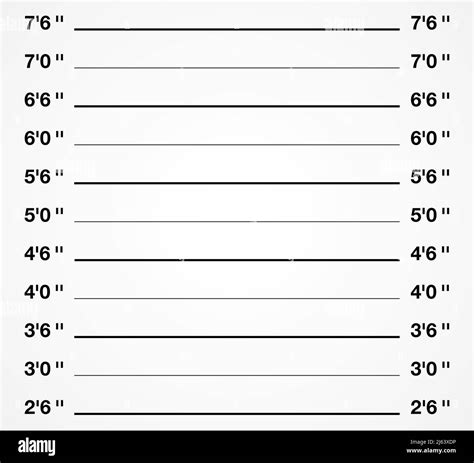 Criminal photo shooting background. Mugshot height measurement vector illustration Stock Vector ...
