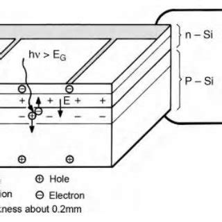 , Basic structure of a crystalline silicon solar cell | Download ...