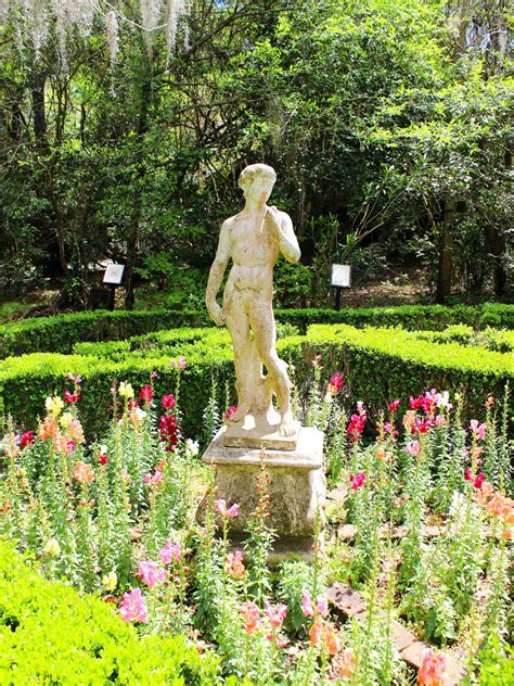 Magnolia Plantation and Gardens in Charleston, SC - Setarra