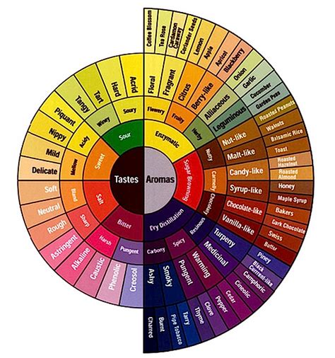 Printable Coffee Flavor Wheel