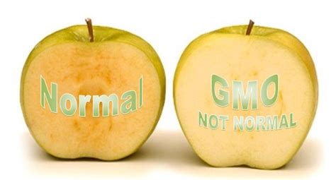 Arctic-Apple-GMO - Anti-Age Naturally!