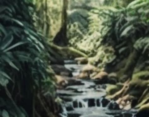 Australian Rainforest Landscape 2 Digital Print - Etsy