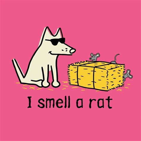 I Smell A Rat - Ladies T-Shirt V-Neck | AKC Shop