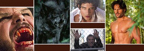 Werewolf TV Shows, Ranked by Tomatometer | Rotten Tomatoes