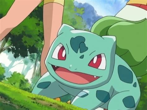 Pokémon Battle Frontier Complete Collection | Pokemon bulbasaur, Cute pokemon, Bulbasaur