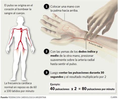 ...pulsaciones frecuencia cardiaca | #nursing#caring | Pinterest ...