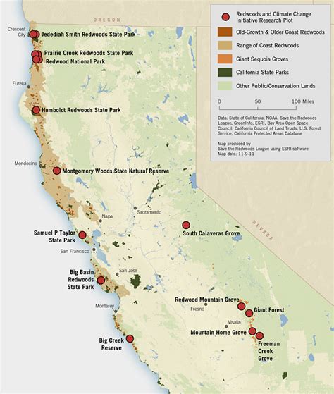 RCCI Forest Network | Save the Redwoods League