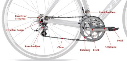 Cycle Drivetrain | Physical Cycling