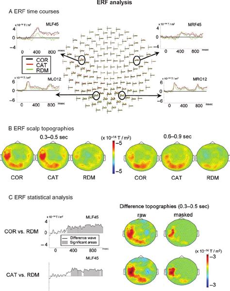 Results of the ERF analysis. (A) ERF time course at all channels, with ...