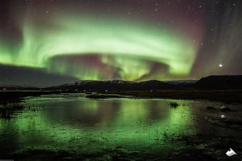 Akureyri Northern Lights Tour | Arctic Adventures