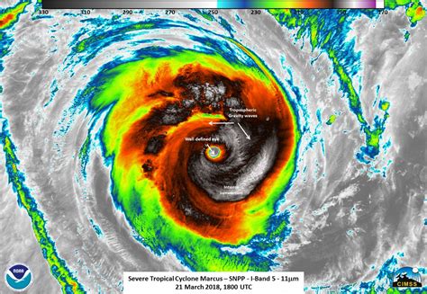 Category 5 tropical cyclone Marcus is Earth's strongest since Hurricane Maria in videos and ...