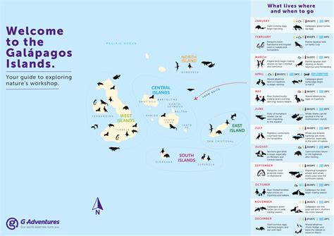 Wildlife in the South and East Galapagos islands — Visas and Vistas ...