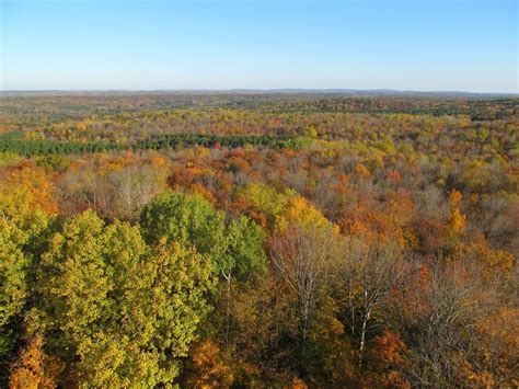 The Chequamegon-Nicolet National Forest: Implementing a Comprehensive Approach to Climate Change ...