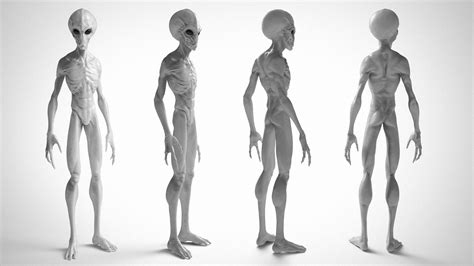 ArtStation - Grey Alien - 3D Model, Jack Nesbit | Grey alien, Alien ...