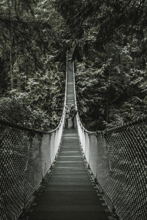 Lynn Canyon Suspension Bridge: The Most Complete Guide (by a Local)