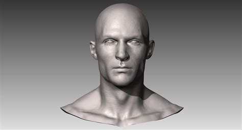 3d realistic white male head