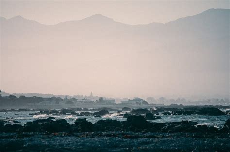 Where to See the Kaikoura Seal Colony - South Island New Zealand – We Seek Travel Blog