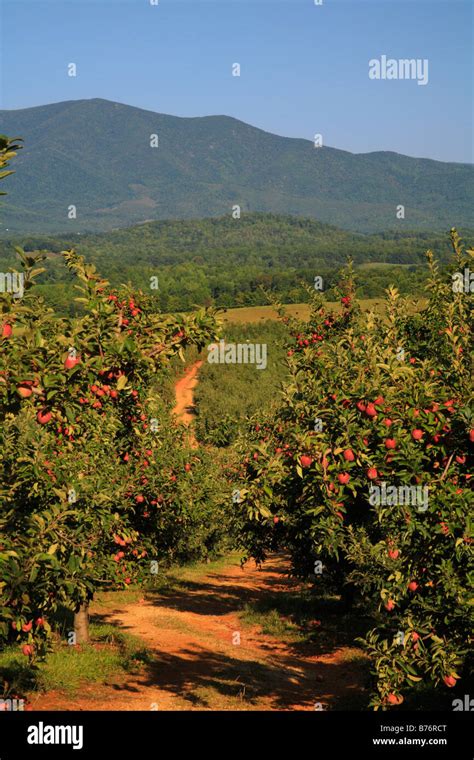 Agricultural united states of america road lane fruit hi-res stock photography and images - Alamy