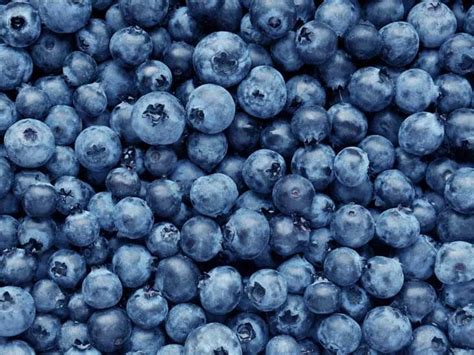 Nutritional Facts Of Blueberries | Besto Blog