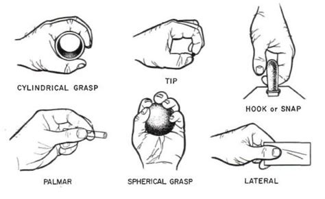 Wisdom of the Hands: Getting a full grip