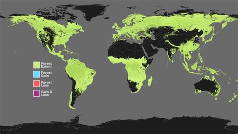 Global forest cover, 2000-2014. Animation of a global map showing annual tree cover extent, gain ...