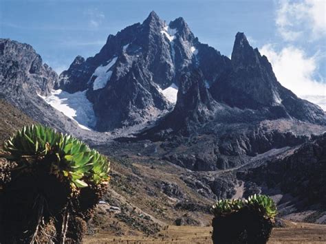 Mt Kenya National Park Location and Park Charges | Majira Media