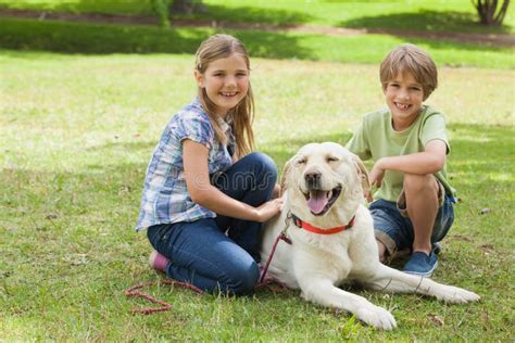 Portrait of Kids Playing with Pet Dog at Park Stock Photo - Image of ...