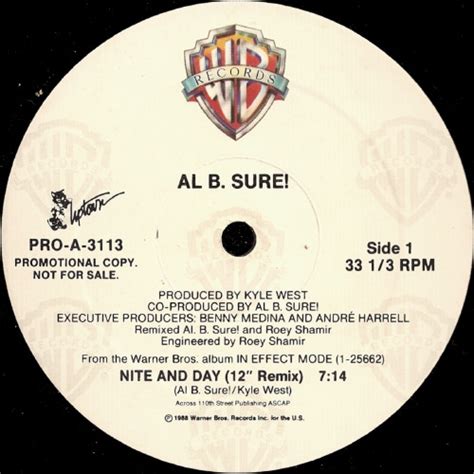 Al B. Sure! – Nite And Day (1988, Vinyl) - Discogs