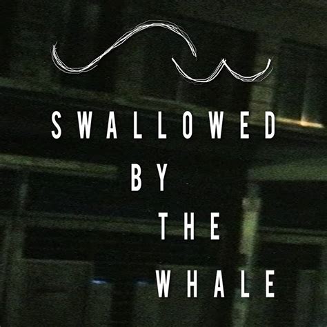 When did Swallowed by the Whale start making music?