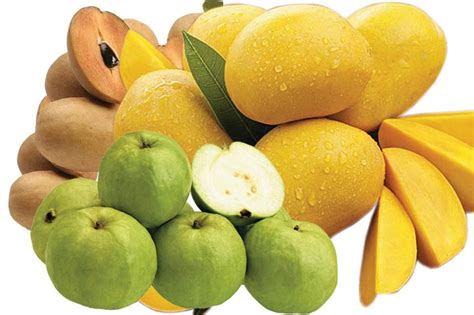 Indian Fruits Manufacturer & Manufacturer from, India | ID - 768996